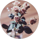 Noora Alsuwaidi profile picture